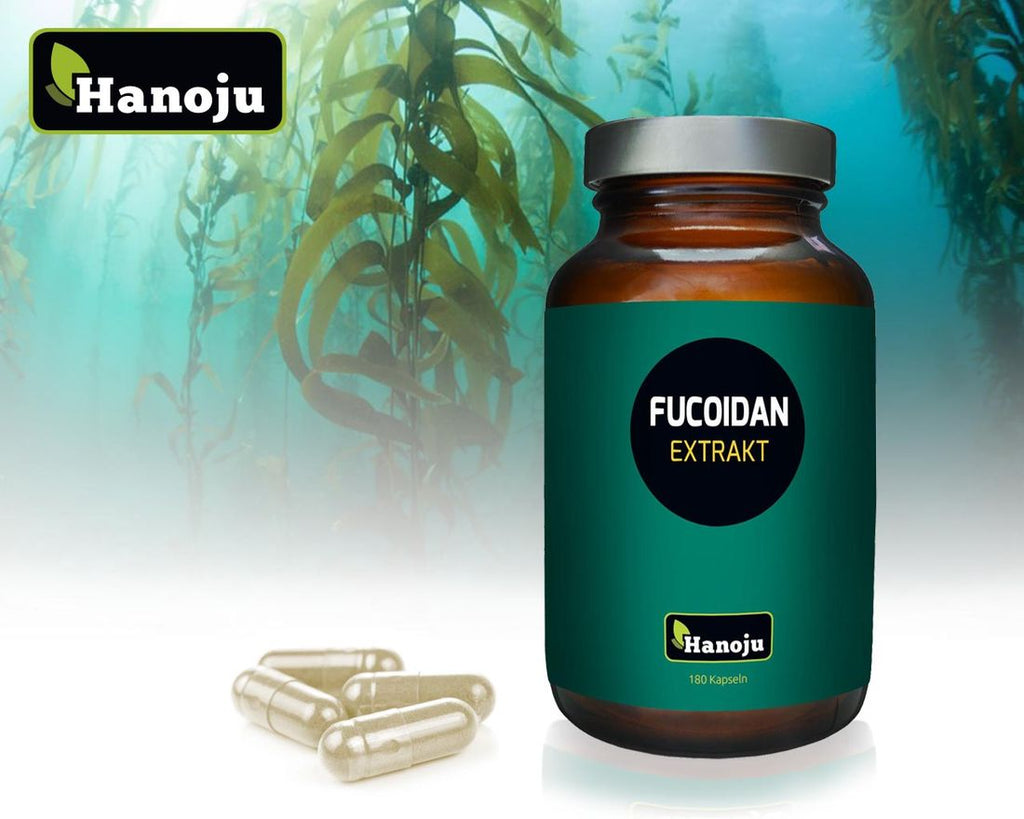HANOJU Fucoidan 85% Extrakt 600 mg, 180 Kapseln